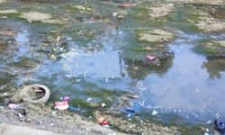 Sulama kanalındaki balıklar telef olmaya devam ediyor