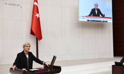 Perihan Koca: “YÖK Lağvedilmelidir”