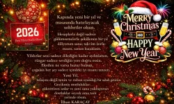Noel Ve Yılbaşı’nda Çam Süsleme Modası, Eski Türkler’in “Hayat Ağacı”Ndan Kaynaklanıyor.
