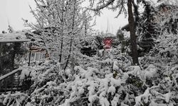 Adanalıların kar sevinci