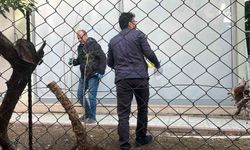 Alanya'da alacak verecek meselesi kanlı bitti, 1 yaralı