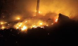 Bozyazı'da çıkan orman yangını kontrol altına alındı