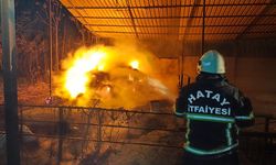 Defne'de samanlık yangını