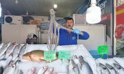 Denize kıyısı olmayan Kahramanmaraş'ta balığa yoğun ilgi