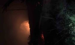 Hatay'da çıkan otluk yangını söndürüldü