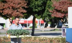 Konyaaltı'nda mevsimlik çiçek ekimi