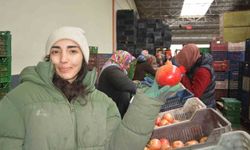 Korkuteli'nden nar ihracatı başladı