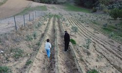 Osmaniye'de depremi yaşadı, toprağa tutundu