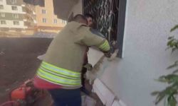 Pencere korkuluğunu sıkışan kediyi itfaiye kurtardı