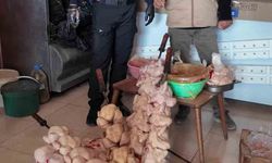 Zabıta ekiplerinin 'Leş kokusu var' dediği dönercide mide bulandıran görüntü