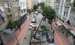 Akdeniz Belediyesi’nden Ağaç Budama Seferberliği