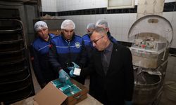 Akdeniz’de Kurallara Uymayan Fırınlara Geçit Yok!