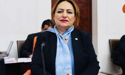 Şevkin: Asgari ücret açlık sınırının altında