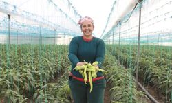 Büyükşehir’den Seracılara Sera İpi ve Tuzak Desteği