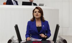 CHP’li Kış: “Türkiye borç rejimiyle yönetiliyor”