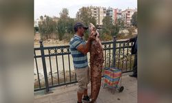 Boyu kadar yayın balığını eliyle yakaladı