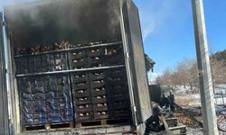 Adana-Pozantı Otoyolu'nda narenciye yüklü tır alevlere teslim oldu