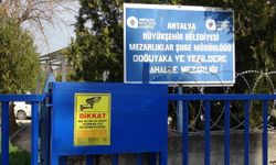 Babasının mezarındaki çiçekleri söküp uyuşturucu sakladılar
