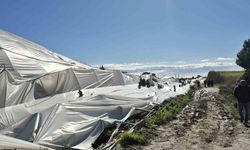 Manavgat'ta hortumdan zarar gören bölgelerde hasar tespit çalışması yapıldı