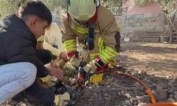 Patisi zincire sıkışan köpeğe hayat kurtaran müdahale