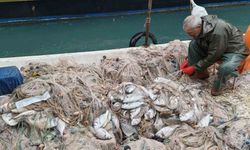 Silifke'de balık çiftliğinin ağı yırtıldı, kıyılar balıkla doldu