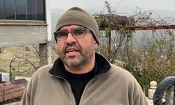 Sokak köpekleri, sahipli köpeği parçaladı