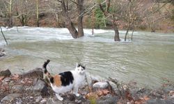 Toroslar'da yağış bereketi kuruyan Üzümdere Irmağını yeniden canlandırdı, şelaleler coştu