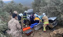 Zeytinliğe uçan otomobilin sürücüsü yaralandı