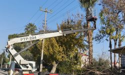 Akdeniz’de Parklar Yenileniyor