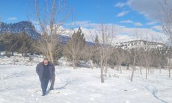 Toroslar’da Kar ve Don Hayatı Dondurdu, Kartpostallık Manzara