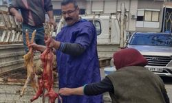 Kamyonette Mucize Doğum: Anamur’da Koyun İkiz Kuzu Doğurdu