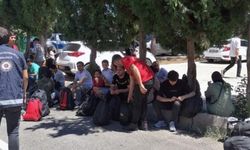 Türkiye genelinde dev denetim: Yakalananlar açıklandı