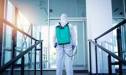 Güvenilir Böcek İlaçlama Firması Seçerken Dikkat Edilmesi Gerekenler