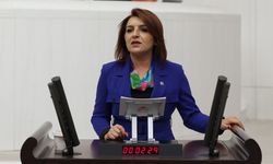 CHP’li Kış: “Bu Rakamlar Gençleri Yokluğa Mahkûm Ediyor”