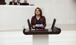 Gülcan Kış’tan TBMM’de Akbelen Çıkışı