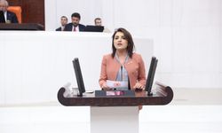 CHP’li Kış:“Milli Parklar Ranta mı Açılıyor?”