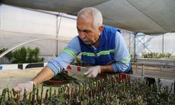 Başkan Şener: "Yeşil Bir Akdeniz İçin Üretimi Önceledik"