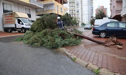 Toroslar'da Fırtına Seferberliği