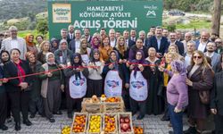 Başkan Seçer: 'Kırsal kalkınma ile birlikte Mersin tanınsın istiyoruz'