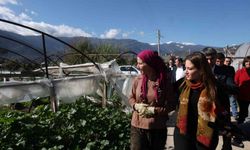 Büyükşehirden 121 çiftçiye 212 bin 400 metrekare sera naylonu desteği