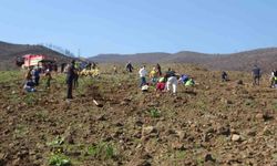 Antakyada Yeşile Boyuyoruz Seferberliği 5 Bin Fidan Dikildi