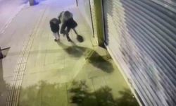 İskenderun'da Çöken Binadan Anne ve Kızı Son Anda Kurtuldu