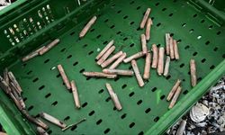 Mersin'de fırtına sonrası binlerce kargı midyesi sahile vurdu: Balıkçılar tek tek topladı