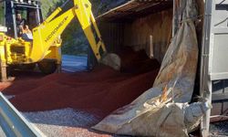 Peyzaj malzemesi yüklü tır devrildi