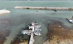 Ziraat Odası Başkanı Selçuk: Eğirdir Gölü'nde Seviye Artıyor