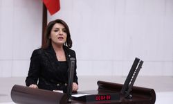 Gülcan Kış: "Pazarda Salatalık 190 TL"