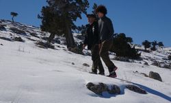 Toroslar 'da obruklar karla doldu