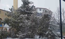 Adana Tufanbeyli'de Kar Mesaisi Başladı