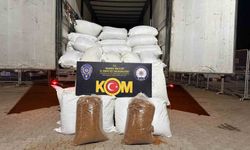 Adana'da 3 ton kaçak tütün ele geçirildi
