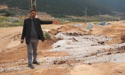 Akaryakıt karıştığı iddia edilen yağmur suyu birikintisinden su içen 43 küçükbaş hayvan telef oldu